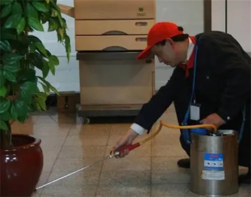 床上放什么可以驱蟑螂