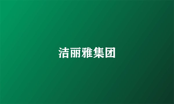洁丽雅集团
