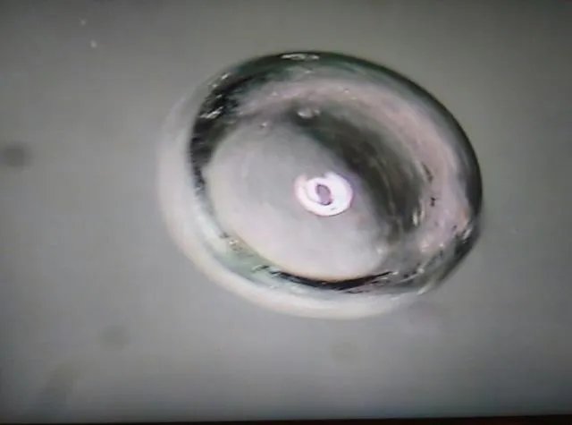 恒星的一生是怎样的？