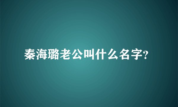 秦海璐老公叫什么名字？