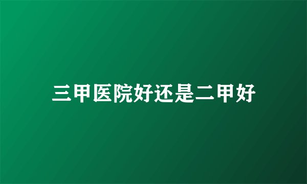 三甲医院好还是二甲好