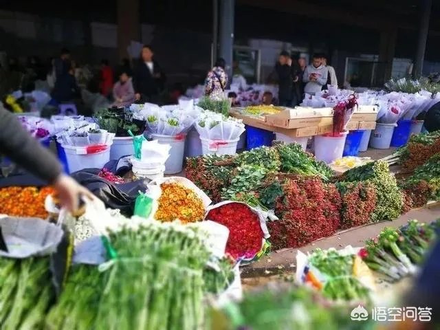 云南有哪些大的鲜花市场?