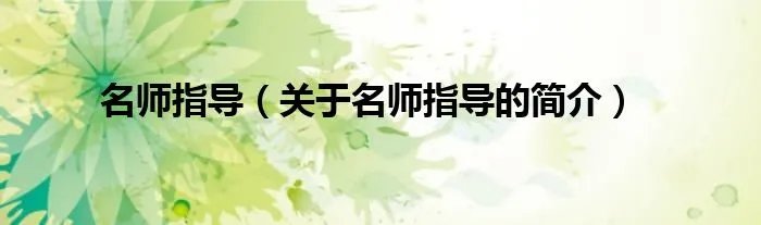 名师指导（关于名师指导的简介）