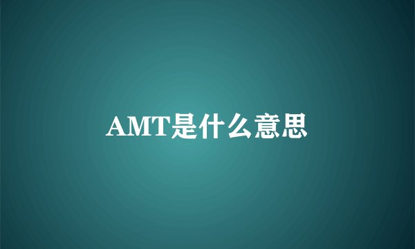 AMT是什么意思