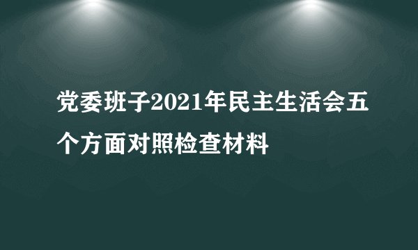 党委班子2021年民主生活会五个方面对照检查材料