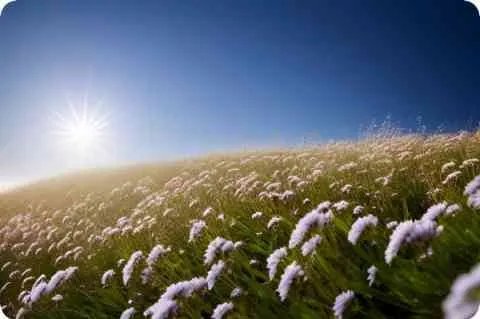 在线开平方根计算器