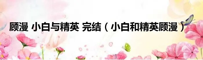 顾漫 小白与精英 完结（小白和精英顾漫）