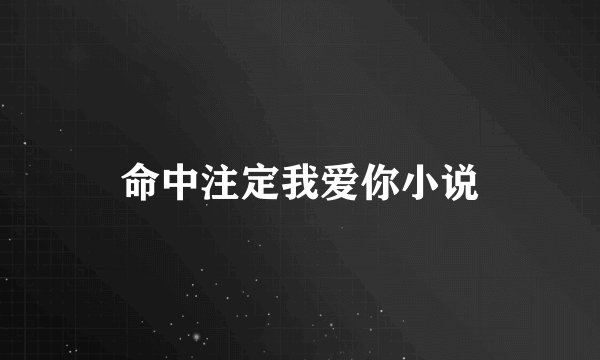 命中注定我爱你小说