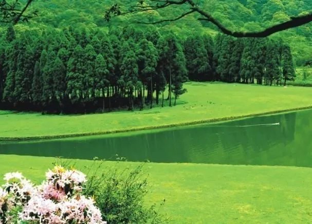 你觉得玉林这座城市怎么样?