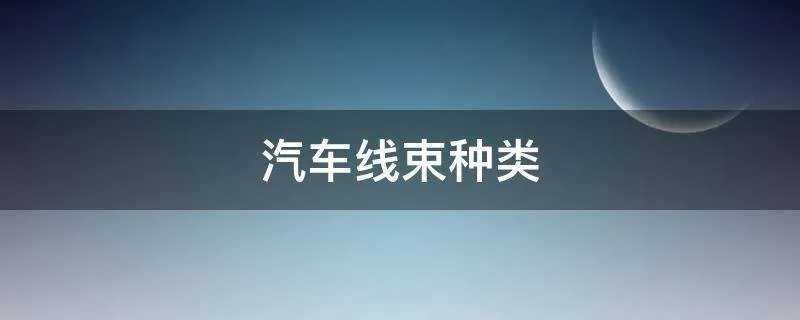 汽车线束种类