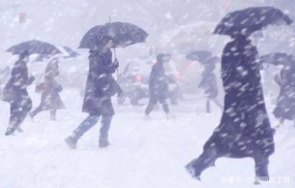 美国低温赶超火星，引起这种极端天气的原因是什么？