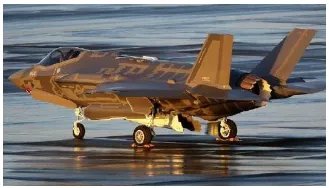 英国战机吓坏动物如何赔偿？