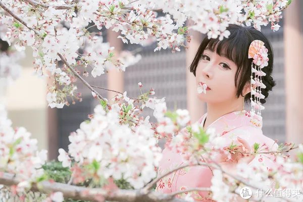 漫谈M43 篇一：M43画幅相机？这个相机体系有什么优劣？有图有真相！