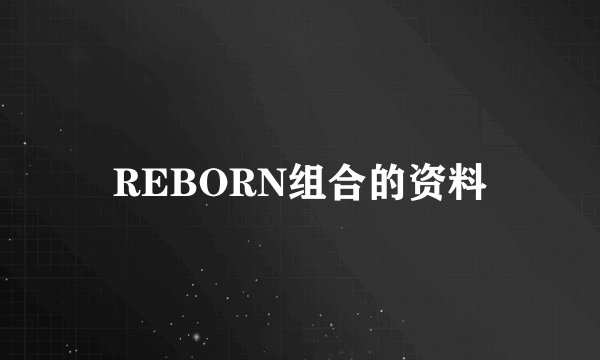 REBORN组合的资料