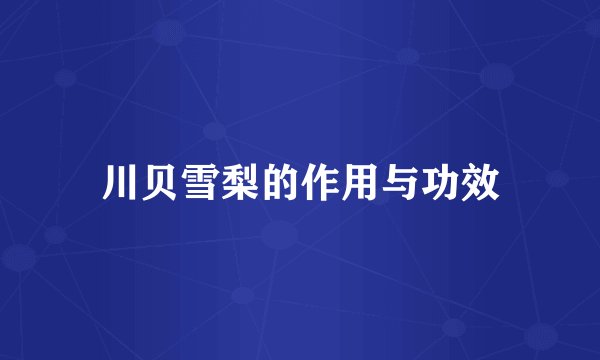 川贝雪梨的作用与功效