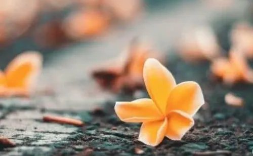 男人面相凶代表什么 一脸凶相的男人啥命