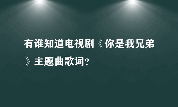 有谁知道电视剧《你是我兄弟》主题曲歌词？