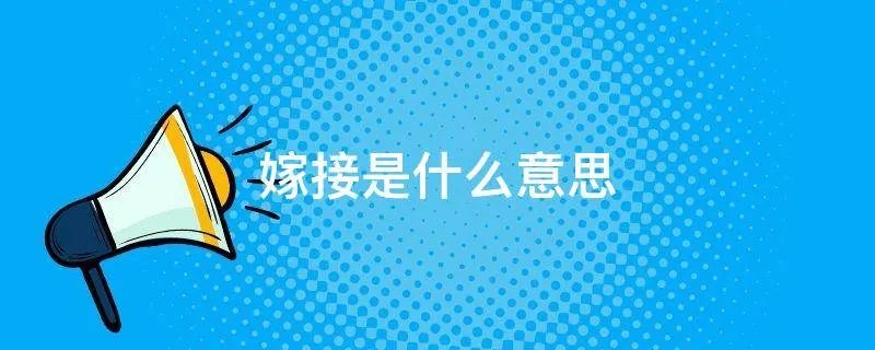 嫁接是什么意思