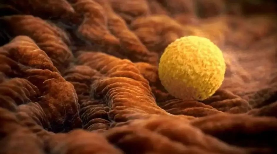 助孕试管-北京佳恩德云医院院长王朝辉:经典试管婴儿助孕常见问题(上)