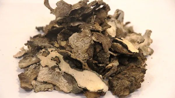 咳嗽有痰吃什么药好