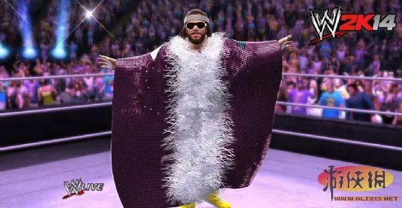 《WWE 2K14》IGN 8.7分 完美演绎摔角兴衰史！