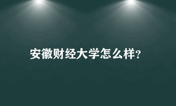 安徽财经大学怎么样？