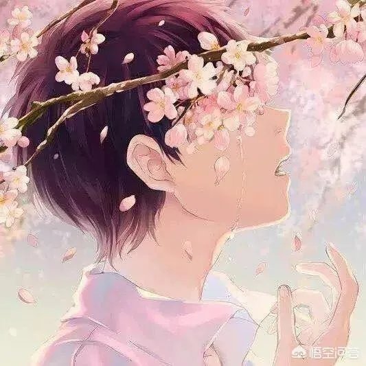 有没有好看的QQ动漫头像？