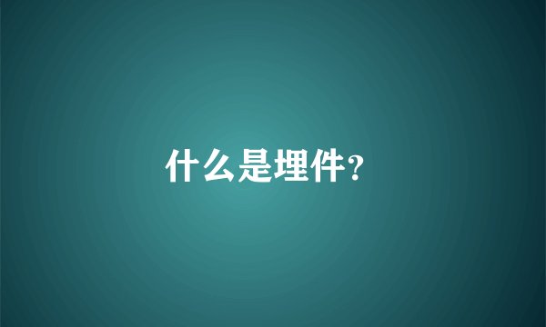 什么是埋件？