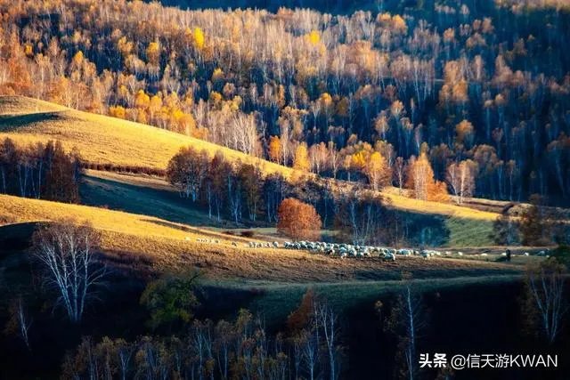 佳能100-400镜头适合拍什么?