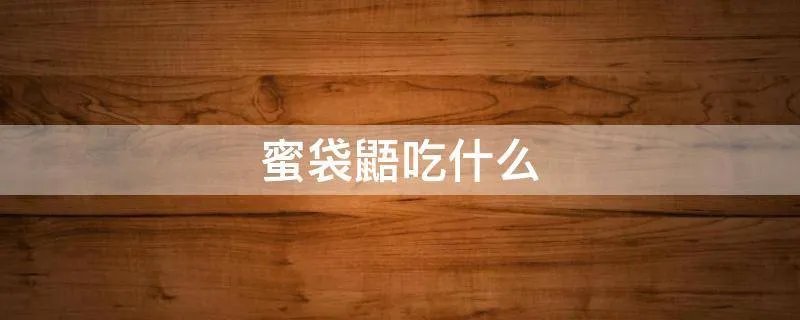 蜜袋鼯吃什么