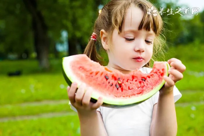 三伏天吃什么好