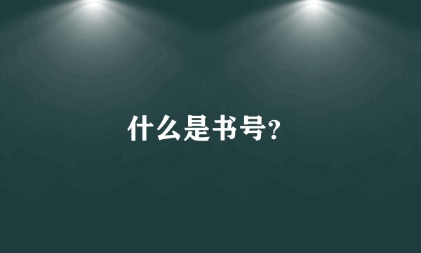 什么是书号？