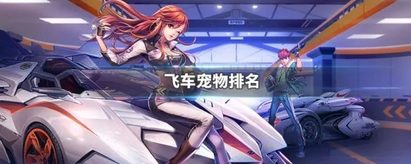 飞车宠物排名
