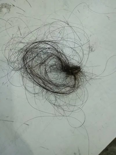 防脱发洗发水哪个好？