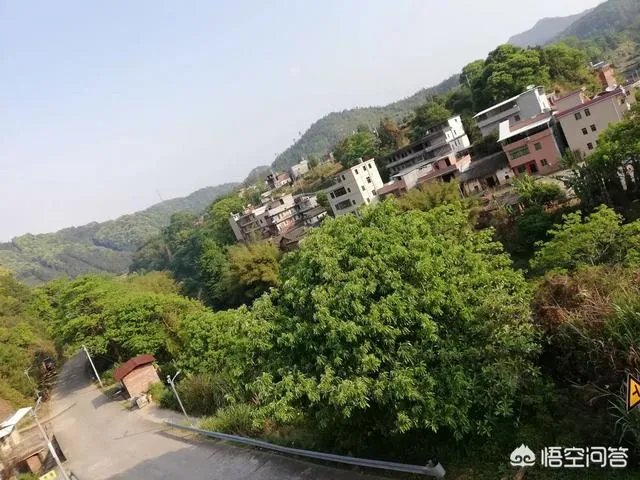 为什么说河源市和平县是个好地方？