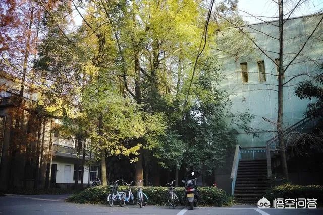 西华大学怎么样？