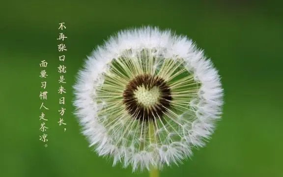 看透了人心社会的现实的句子