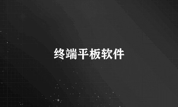 终端平板软件