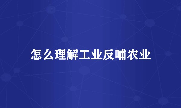 怎么理解工业反哺农业