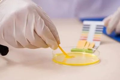 碳酸钠溶液显碱性的原理是什么  什么是碳酸钠溶液