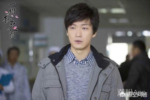 电视剧《一树桃花开》,相比盛开,为啥狄英最后能治服罗耀辉母?