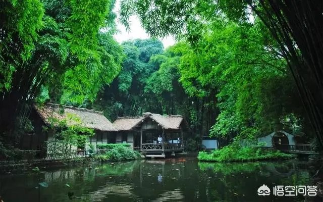 大熊猫的产地是哪里?