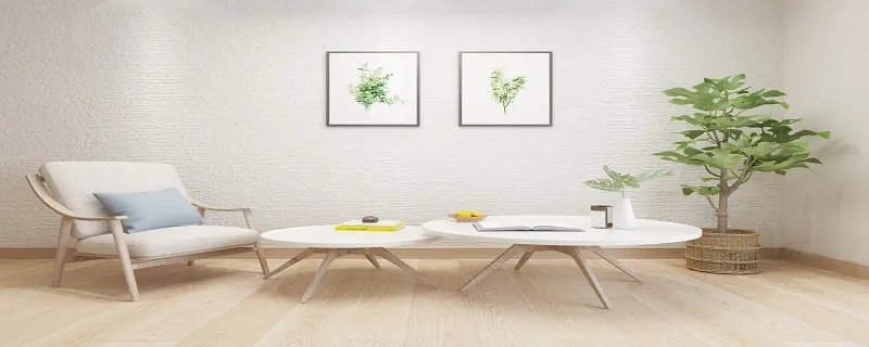 巴西木怎么养 巴西木养殖方法