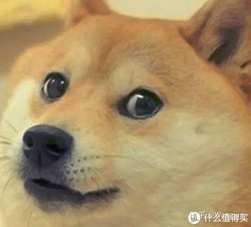 2021年家用装修能率燃气热水器怎么选?哪个型号好丨附能率各型号燃气热水器推荐分析,长文慎点