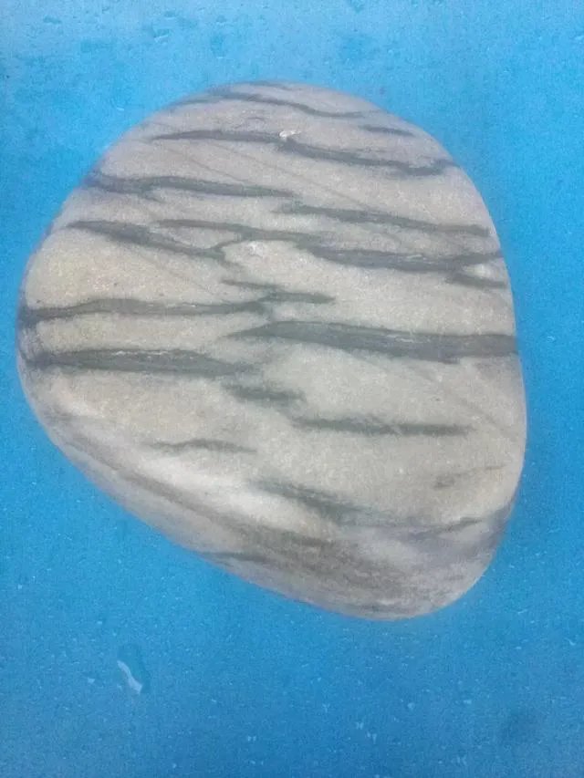 据说重庆不在地震带上，为什么会发生5.0级地震呢？地震发生时有哪些应急自救方法？