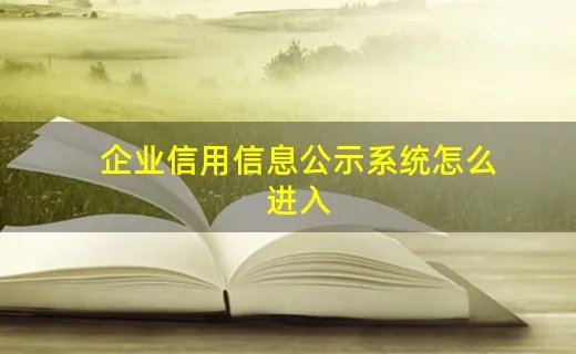 企业信用信息公示系统怎么进入