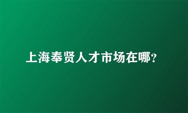 上海奉贤人才市场在哪？
