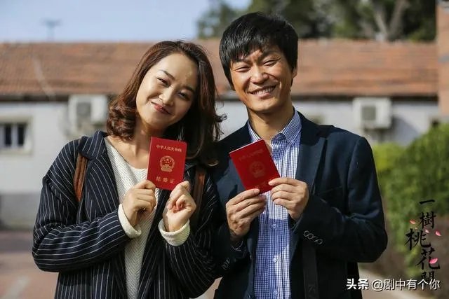 电视剧《一树桃花开》,相比盛开,为啥狄英最后能治服罗耀辉母?