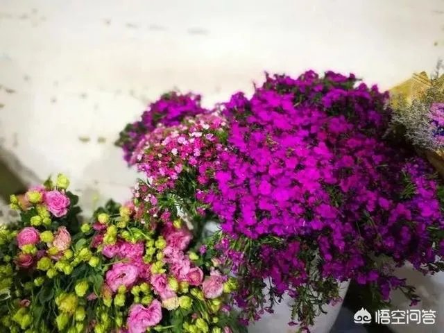 云南有哪些大的鲜花市场?