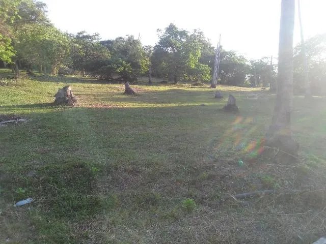 泰国皇帝岛大不大？一天怎么玩？